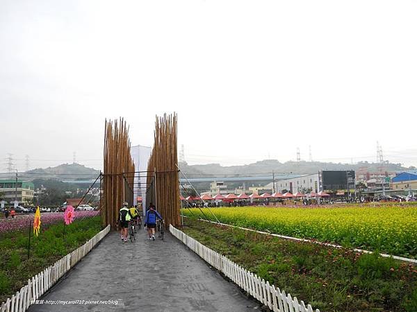 DSCN6815.JPG