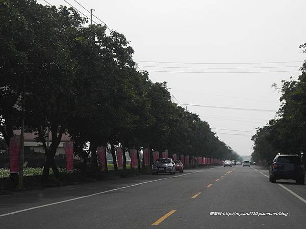 DSCN6910.JPG