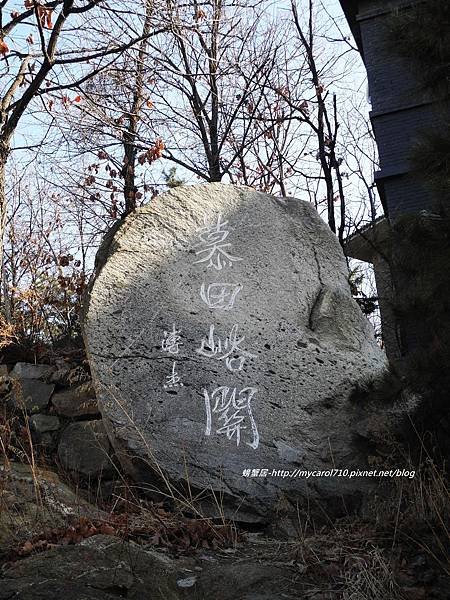 DSCN8371.JPG