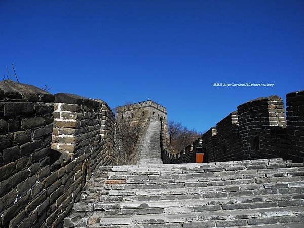 DSCN8411.JPG