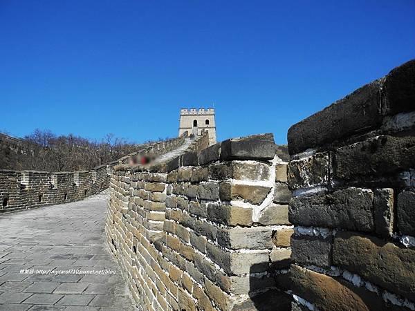 DSCN8442.JPG