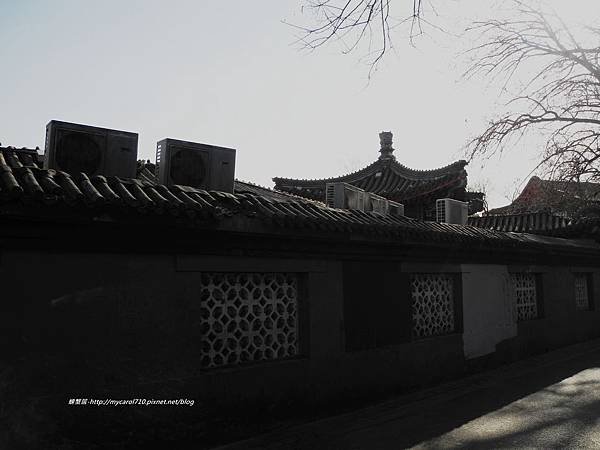 DSCN8494.JPG