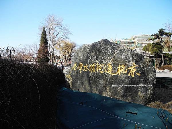 DSCN8503.JPG