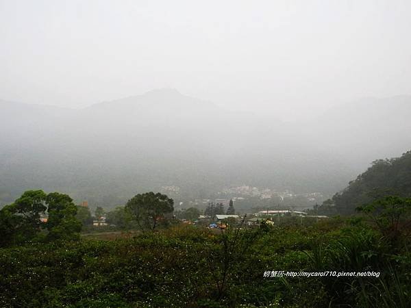 DSCN8958