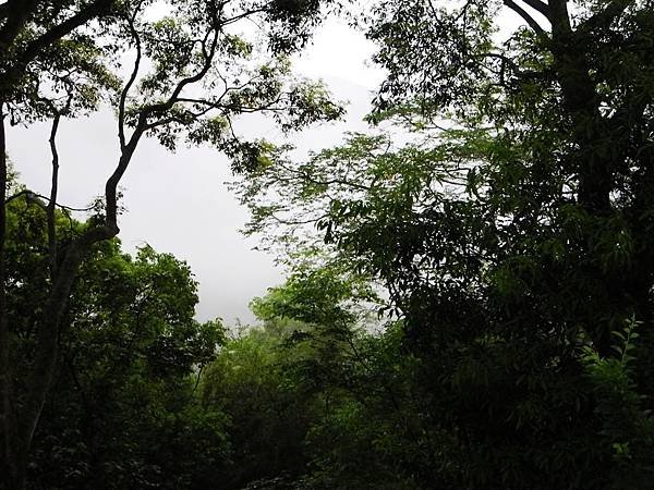 DSCN9345