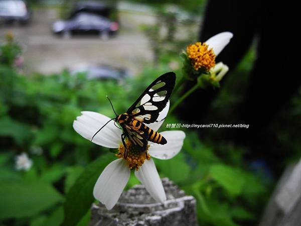 DSCN9407