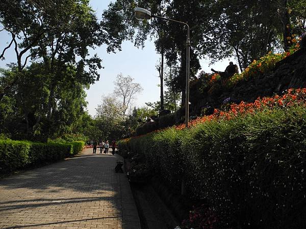 DSCN1411.JPG