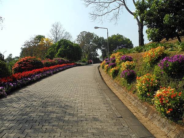 DSCN1415.JPG