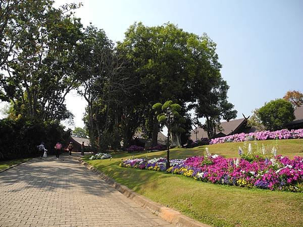 DSCN1417.JPG