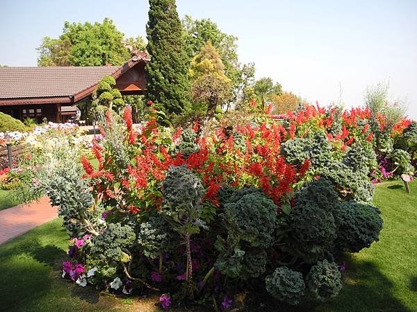 DSCN1428.JPG