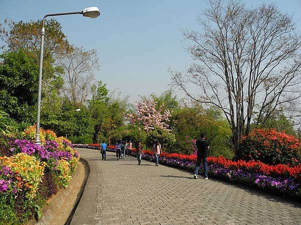 DSCN1440.JPG
