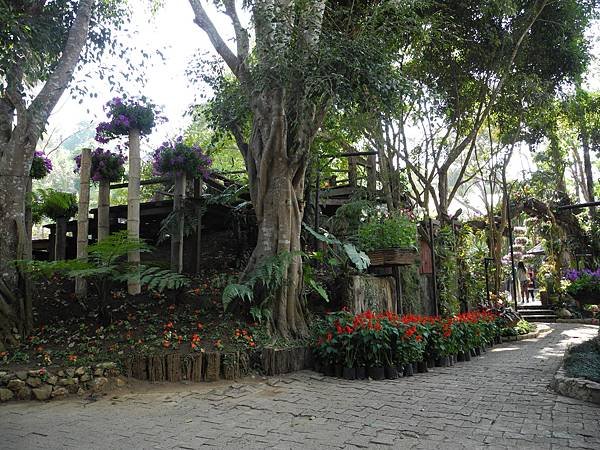 DSCN1469.JPG