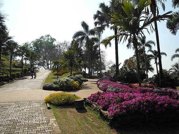 DSCN1486.JPG