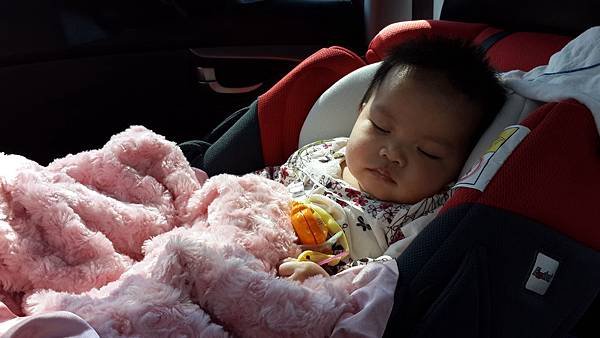 20131130_123133.jpg