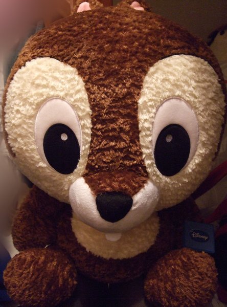 2009_03_06照片 051.jpg