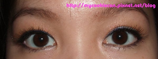 2009_03_18照片 060.jpg