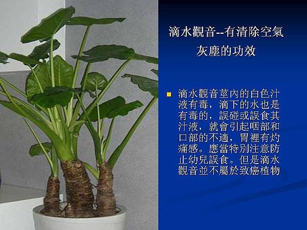 家庭常見植物的功效 (2).JPG