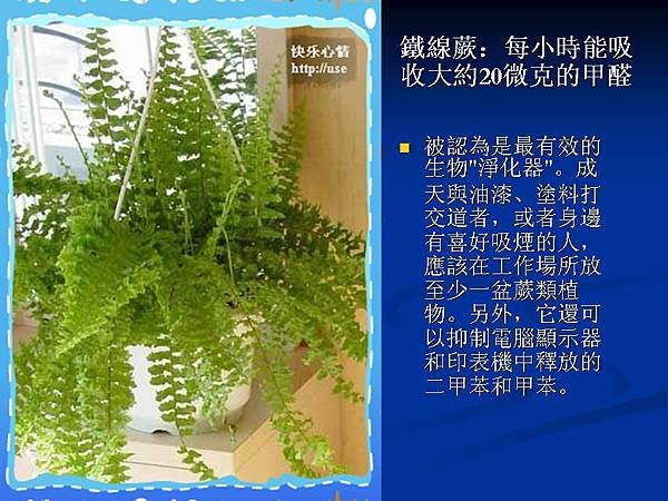 家庭常見植物的功效 (6).JPG