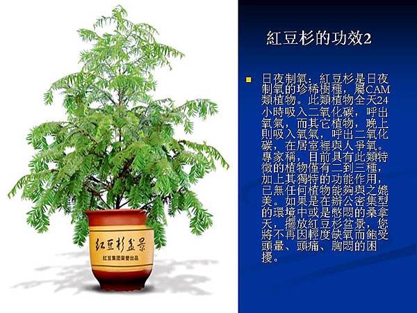 家庭常見植物的功效 (22).JPG