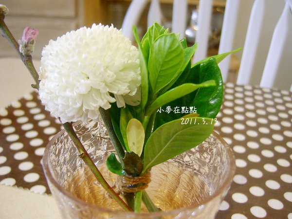2011/3/13小麥小米在點點