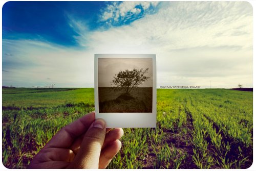polaroid 24.jpg