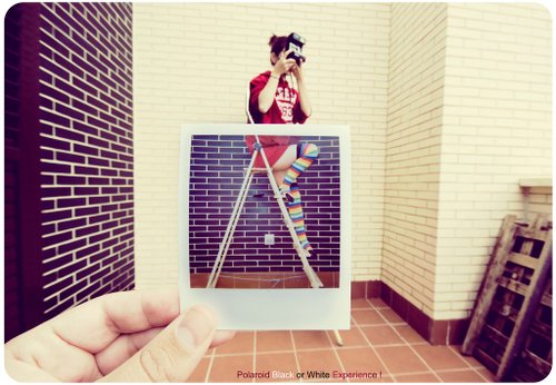 polaroid 25.jpg