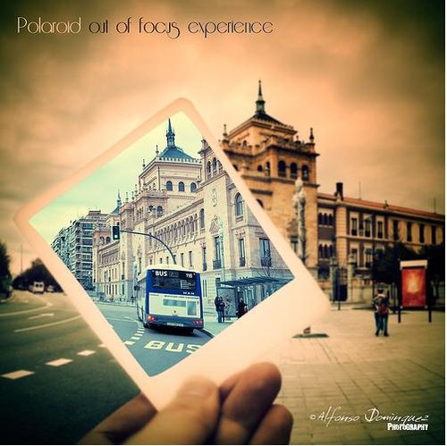 polaroid 23.jpg