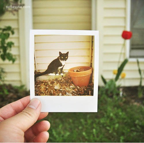 polaroid 07.jpg