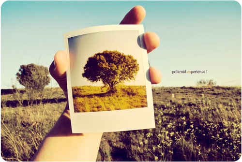 polaroid 28.jpg
