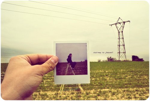 polaroid 26.jpg