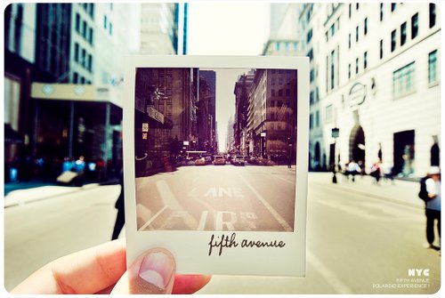 polaroid 31.jpg