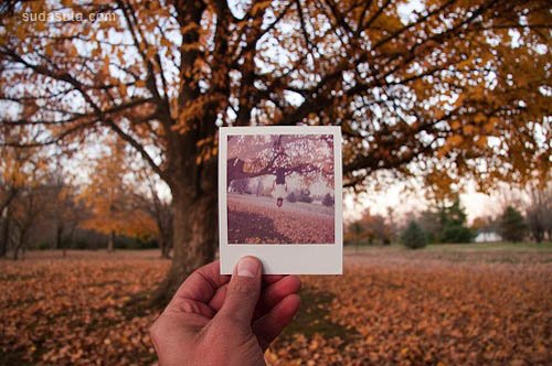 polaroid 05.jpg