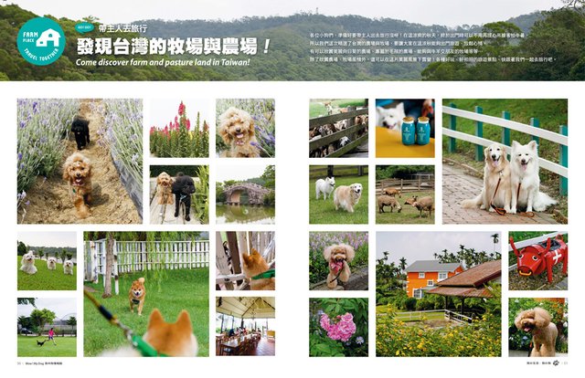 Mydog-5004_P50-51.jpg