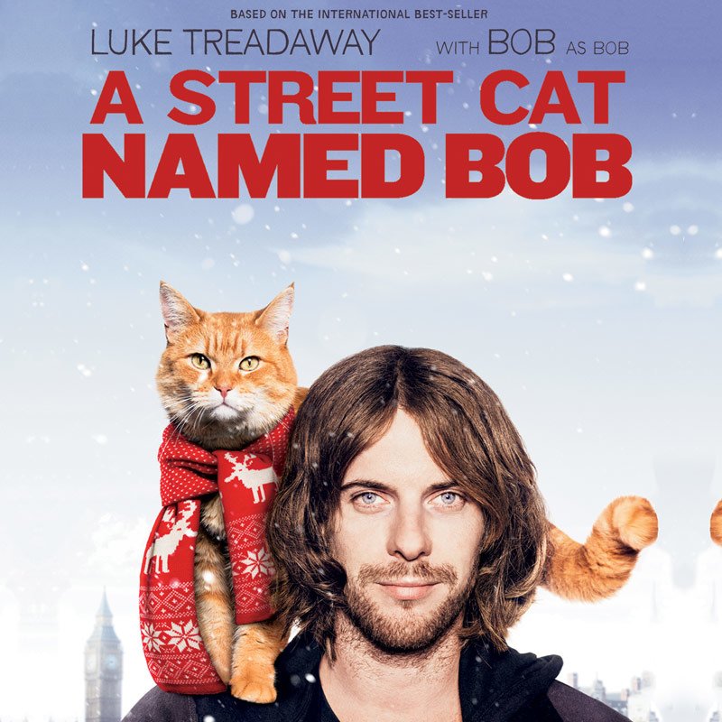 street-cat-named-bob-dvd.jpg