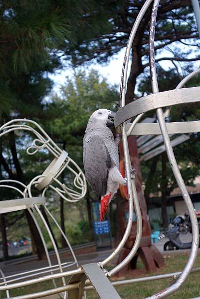 20131027 (13).JPG