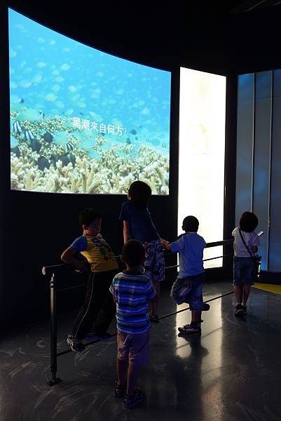 20140607 (130).JPG
