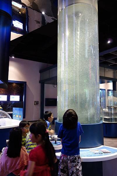 20140607 (211).JPG
