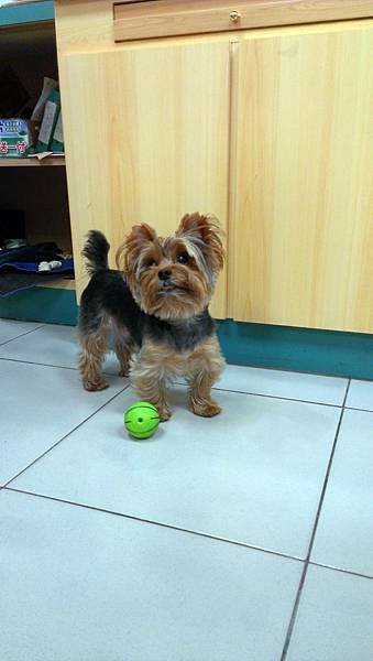 20140701 J (60).jpg