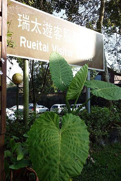 20141011 (48).JPG