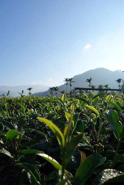 20141012 (30).JPG