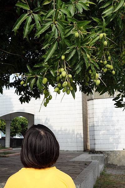 20150220 (139).JPG