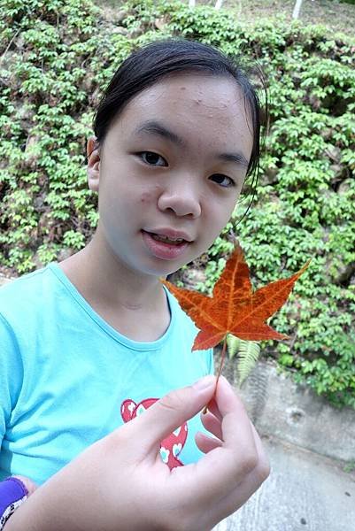 20151114 (10).JPG