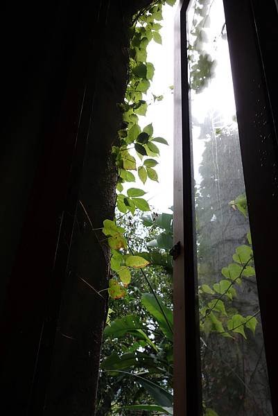 20151114 (119).JPG
