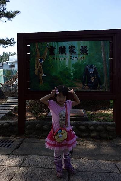 20151116 (18).JPG