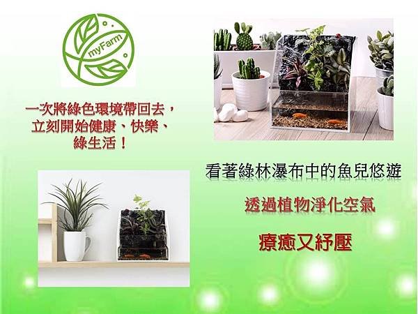 綠林瀑布DM.jpg