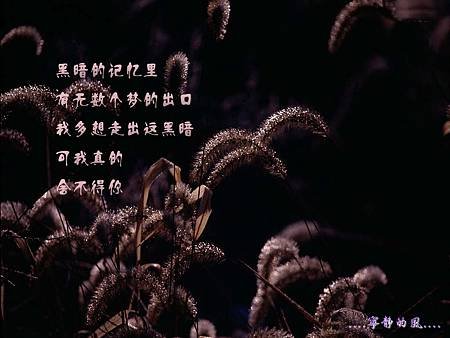 黑暗的記憶裡.有無數個夢的出口.我多想走出這黑暗.可我真的捨不得你