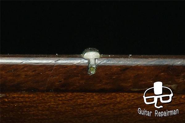 【Maton】{Refret}{重製牛骨上下枕} EBG-8