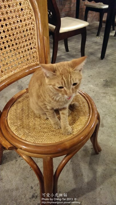IMAG0851.jpg