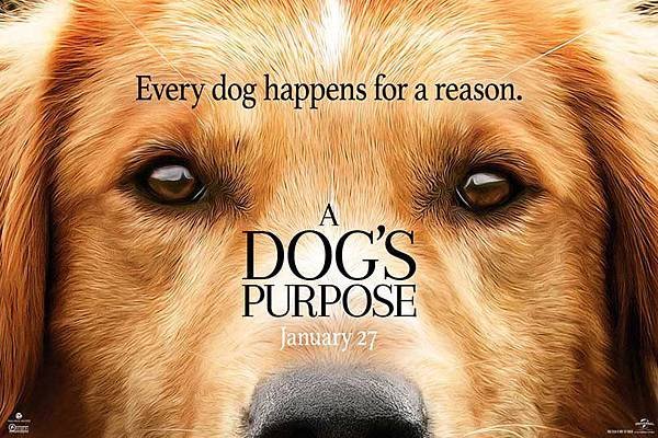 adogspurposetrailer-809x538.jpg