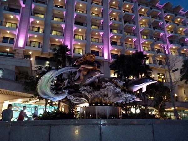 IMG_20100102_184847.jpg